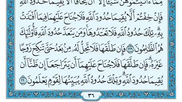 سورة البقرة مكررة عشر مرات - ماهر المعيقلي - مكتوبة - حفظ القرآن الكريم - الصفحة 36
