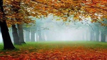 AI GENERATED VIDEO: AUTUMN VIEW LOOP VIDEO #04 (STABLE DIFFUSION)