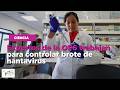 Expertos de la OPS trabajan para controlar brote de hantavirus