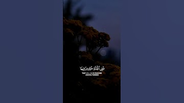 قران كريم #اكسبلور #راحة_نفسية #الرحمن