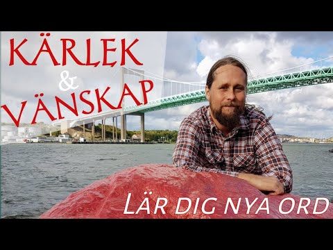 Video: Är vänskap en bra grund för kärlek?