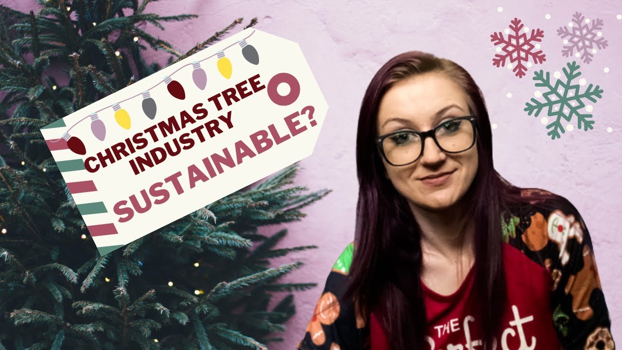 Natural Vs Artificial Tree What Christmas Tree is Environmentally