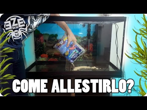 Video: Come Fotografare Un Acquario