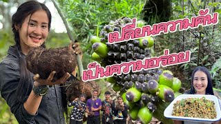 The way of hill tribe EP295 Go to the deep forest search of the big konjac Let's cook delicious food