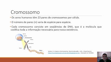 Aula 01 - Introdução aos Algoritmos Genéticos - parte 1