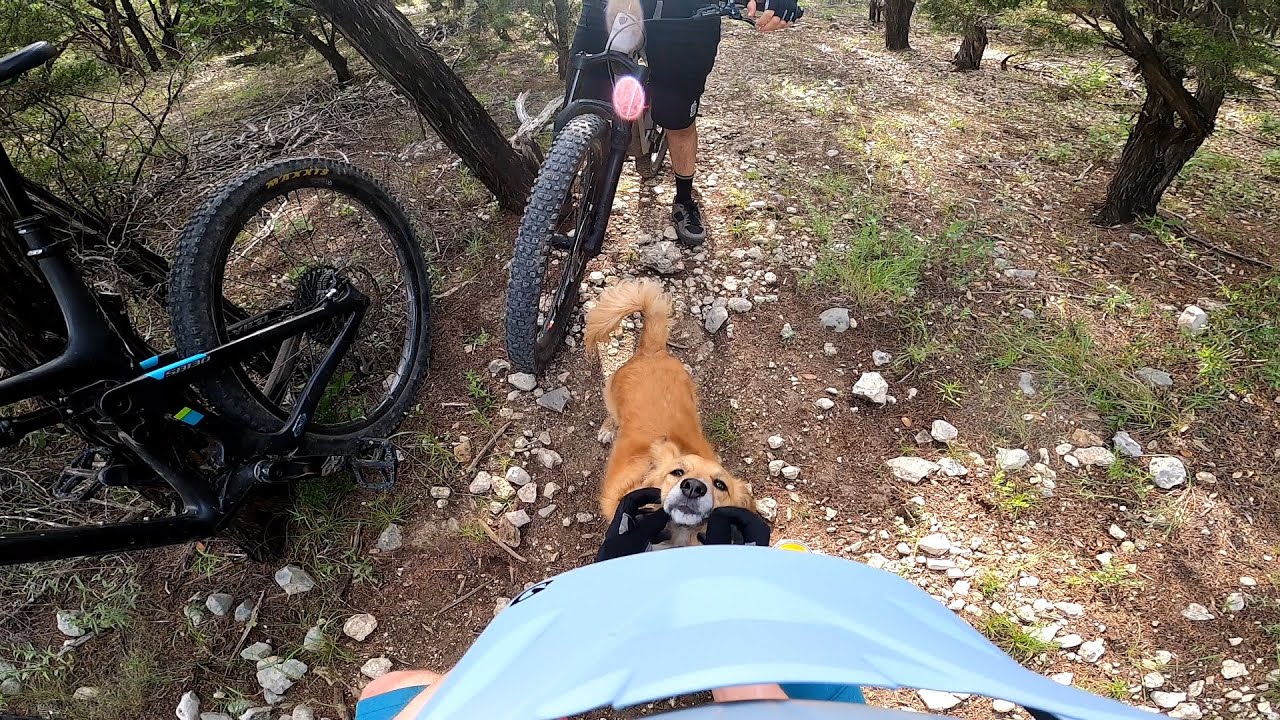 Mountain Biking with a Dog on Secret Trails Austin TX YouTube