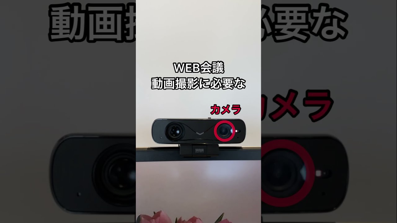 Webカメラ】ピンボケ知らずの革命児[400-CAM104] #私たちの推し