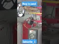 tataiya 🐝🐝(wasp) in panel #shorts #viral #technology #youtubeshorts