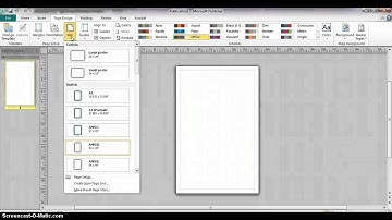 Publisher 2010 - Setting Page Dimensions