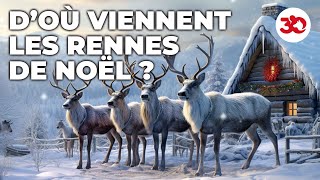 L'histoire des rennes de Noël