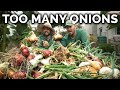 Weve never grown onions this big