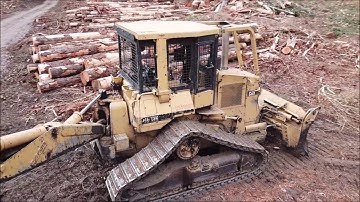 Hand Felling- Logging- From A New Perspective Drone View