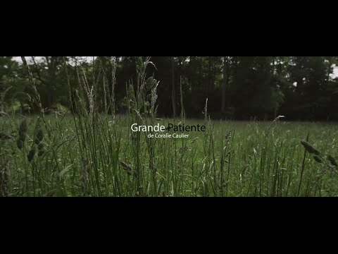 Grande Patiente