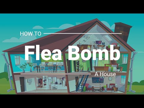 Step by Step instructions to Flea Bomb your house - The Guardians Choice