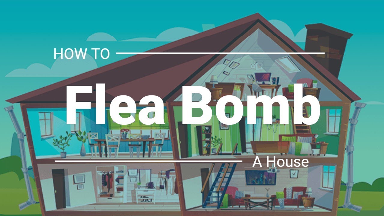 Step By Step Instructions To Flea Bomb Your House | The Guardians Choice -  Youtube