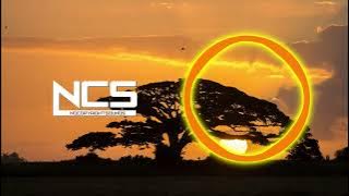 Jim Yosef & Anna Yvette x Diviners - Linked x Savannah