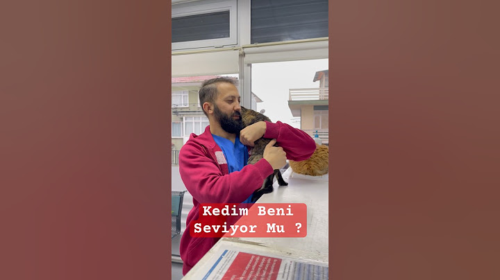 "Kedimin Gerçek Duygularını Açıklıyorum: Kedim Beni Seviyor mu?" #veteriner