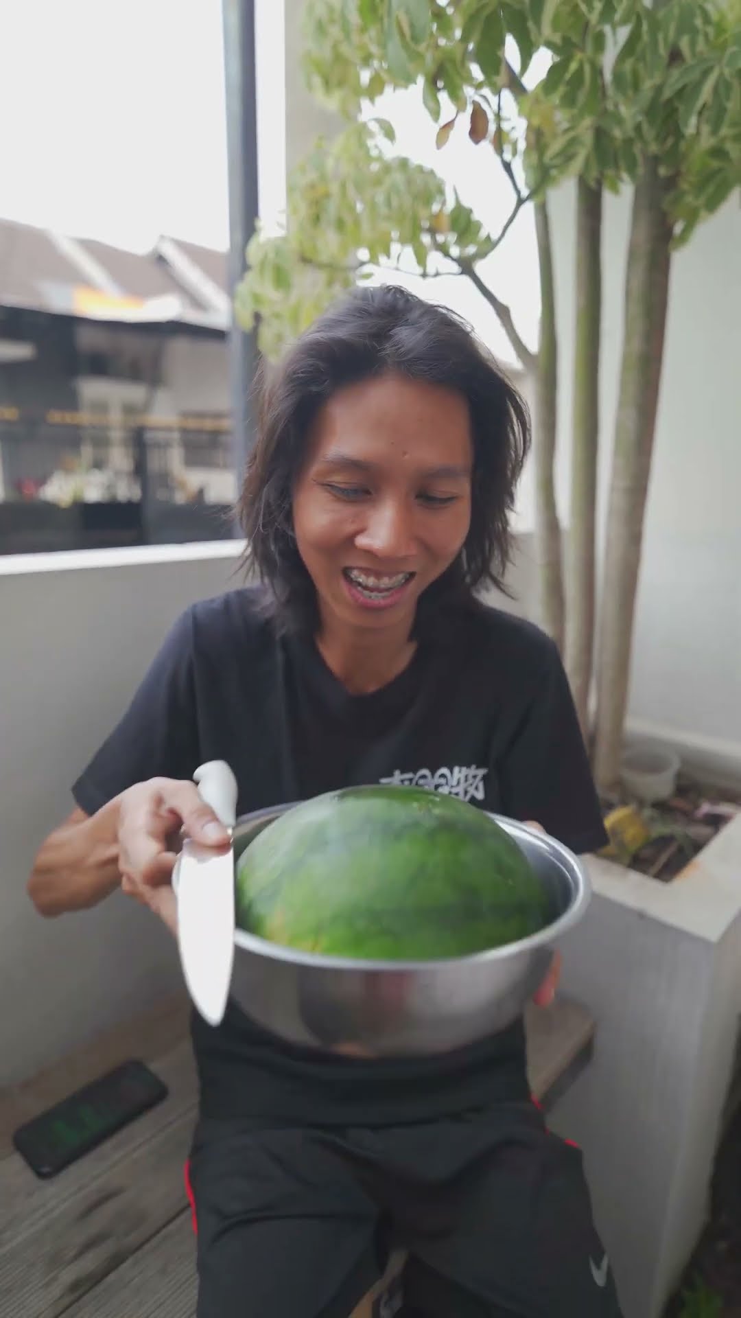 sikat semangka