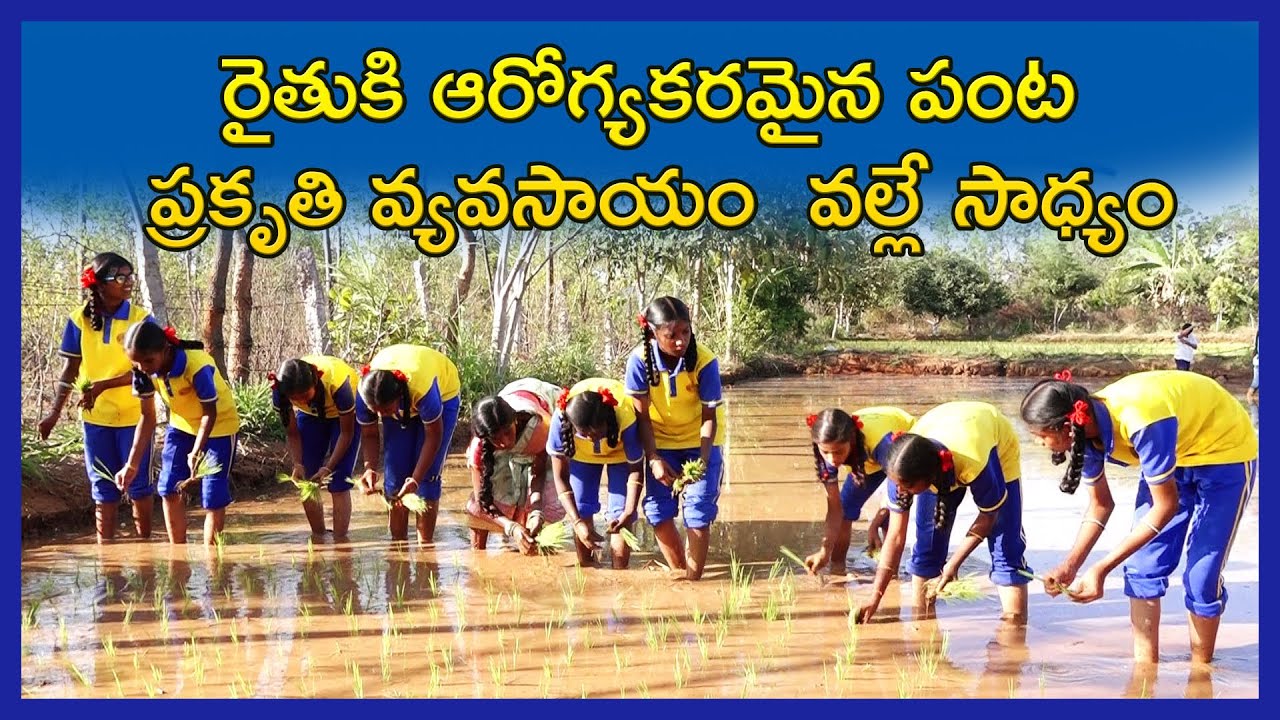 Why Farmers are Choosing Organic Farming? Awareness Program to Kushaiguda Saraswathi School Students