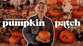 live oak pumpkin patch and peltzer farm vlog // running around wineries + a day in the life 🎃