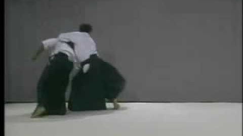 4th Kyu Techniques Test Requirements Part 2