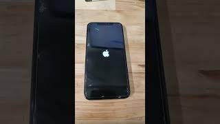 Apple iPhone 8/SE/ X/XS/XS Max/11/12 boot loop Quick Fix After Liquid Damage