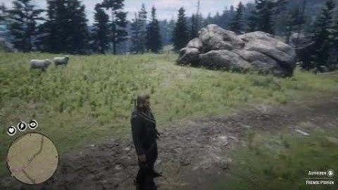Red Dead Redemption 2 invisible enemy