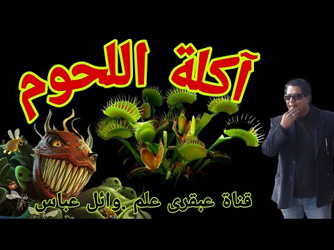 السفر الي عالم النباتات الوحشية قناة عبقرى علم