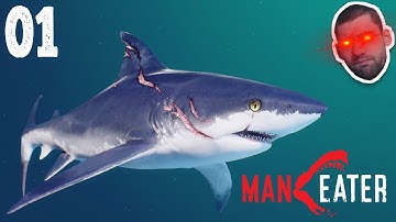 THIS is the BEST SHARK SIMULATOR | Maneater | Gameplay PART 1