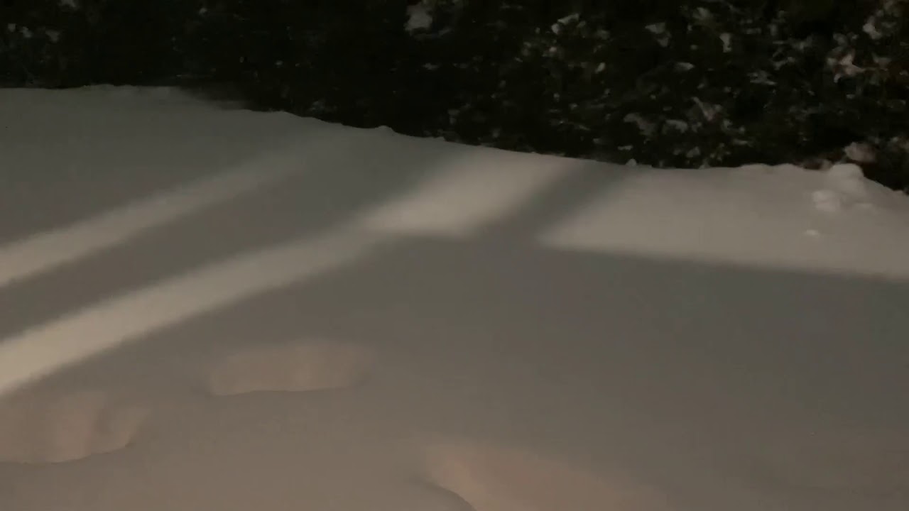 二月的第一天暴风雪中 加湿器效果并不明显 流水账daily Vlog 小跑哥的生活01 02 21 Youtube