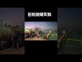 7万吨船舶抛锚实拍, Mega-ship drop anchor  #ship #sailor