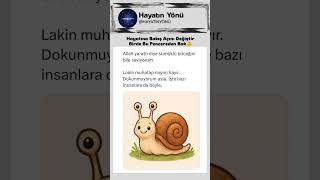 HAYATI SORGULAMAK YERİNE AKIŞINA BIRAKMAK DAHA MANTIKLI🤗 #shorts #yaşam #hayat #sevgi #allah #keşfet