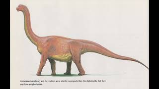 Paleoart Highlights: Donna Braginetz.