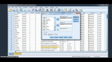 SPSS Confidence Intervals Around a Mean