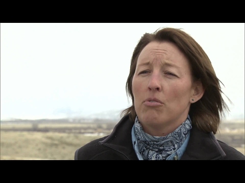 Tight gas at Shell - Aimee Davison on protecting b...