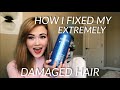 HOW I FIXED MY EXTREMELY DAMAGED HAIR AT HOME | Tips on Getting Healthy Hair 2019!