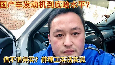 国产车发动机现在到底啥水平？修理工给您实话实说【车二哥说车】 - 天天要闻