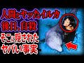 初めて人間と会話したイルカ...後日、「自殺」...そこにはヤバすぎる事実が...【ゆっくり解説】