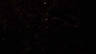 IMG 6470