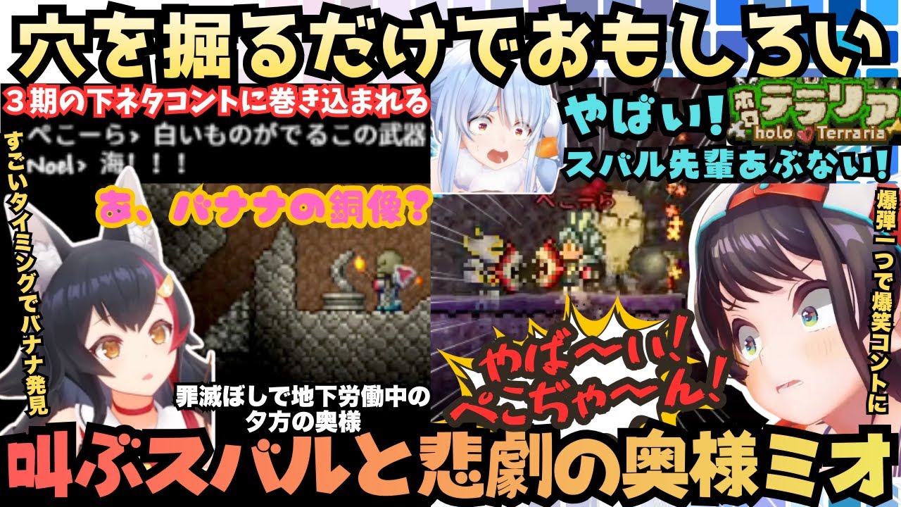 【ホロテラリア３日目】初手から失言王がミオに悲劇を迎えさす！"あず吉に嫉くマリン"ジャイアン兎田"ほわノエル"と偽３期生でも大絶叫する全てが繋がるトロトロChまとめ【大空スバル／大神ミオ／兎田ぺこら】