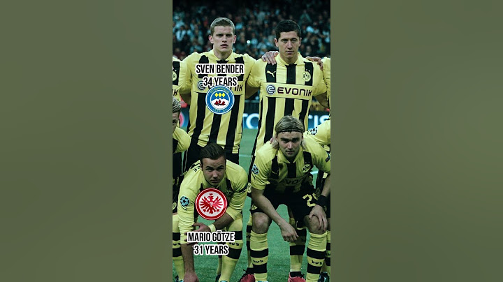 Borussia Dortmund 2012/2013 squad, Where are they now?