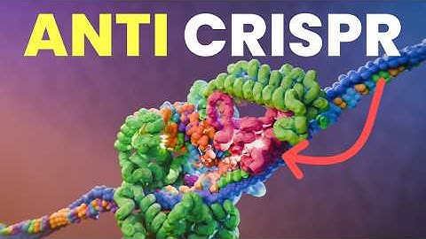 New Anti Crispr Just Dropped ｜Biochem Bits