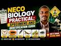 NECO BIOLOGY PRACTICAL 2026 ULTIMATE SPECIMENS AND IDENTIFICATION GUIDE