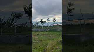 ក្ដីសុខស្រុកស្រែ