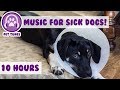 10 hours relaxing dog music to help your ill and sick puppy or dog recovering from surgery