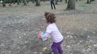 Pic-Nic Et Ballon À La Gloriette