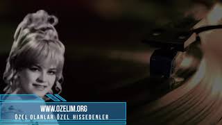 Handan Kara - Sarmaşık Gülleri