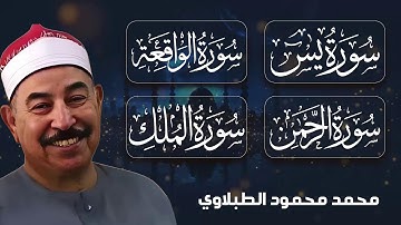 تلاوة خاشعة تملأ عالمك سكونًا وإيمانًا