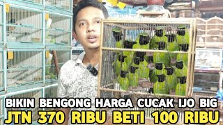 Download Lagu MURAH !! MAU CARI KEMANA CUCAK IJO JTN ACEH 370 RIBU BETINANYA 100 RIBU DI PASAR BURUNG PRAMUKA MP3 Download Lagu MURAH !! MAU CARI KEMANA CUCAK IJO JTN ACEH 370 RIBU BETINANYA 100 RIBU DI PASAR BURUNG PRAMUKA MP3