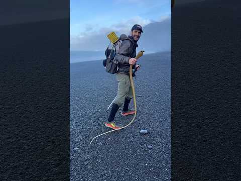 Video: 10 tips for fotturer California's Lost Coast Trail